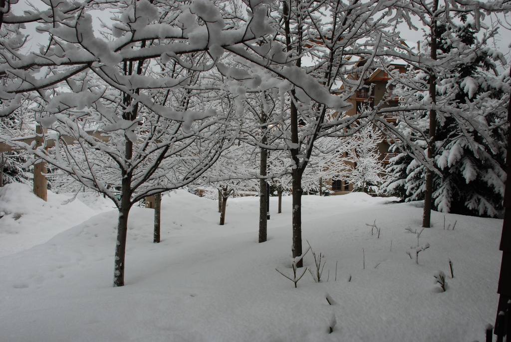 2009/03(Mar)/WHISTLER WITH MUSSATTOS/1024x768_2009-03-WHISTLER WITH MUSSATTOS 11.jpg